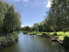 -上海滨江森林公园