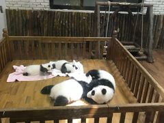 -钦善斋(武侯祠店)