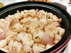 砂锅焗百合-和记小菜(东方店)