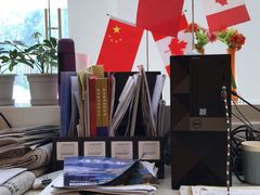 -中加枫华国际学校
