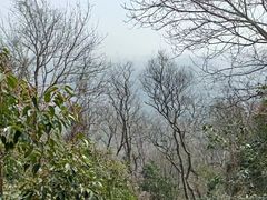 -大蜀山国家森林公园