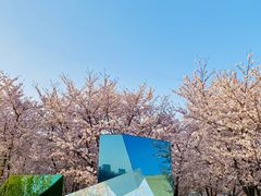 -龙美术馆(西岸馆)