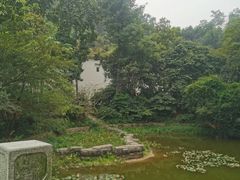 -深圳国际园林花卉博览园