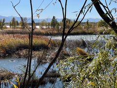 -野鸭湖国家湿地公园