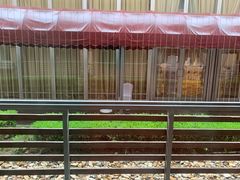-上海中兴和泰酒店(张江高科地铁站店)
