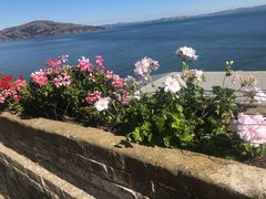 -阿尔卡特拉斯岛