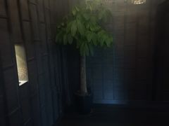 -LANN I 蘭 泰式古法按摩(徐家汇城开YOYO店)