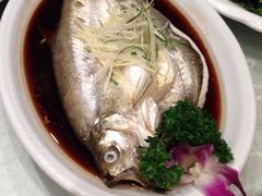 清蒸白鱼-农香居粗菜馆(大明路店)
