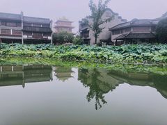 -龙潭水乡