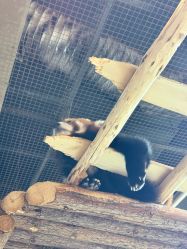 -Zoolung Zoolung动物主题公园(海信广场店)