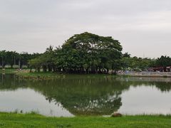 -海上田园