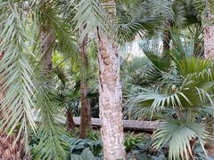 -石家庄市植物园