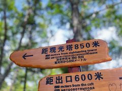 -汤旺河林海奇石景区