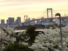 -台场海滨公园船码头