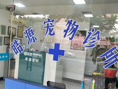 -艾吉宠物医院·疑难杂症转诊中心·猫友好(碧江路院)