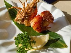 -彩葉·樱花屋日本料理(动物园店)