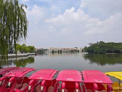 -莱西月湖公园