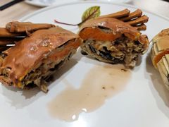 -食神鱼头佛跳墙(百子湾旗舰店)