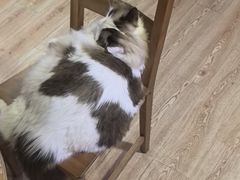 -白兔子密室(长寿路店)