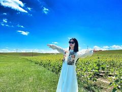 -蒙亨·手把肉·蒙古包文化主题餐厅(天恒广场店)