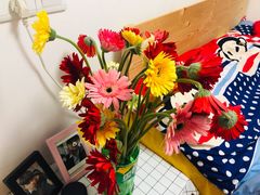 -杭州街角花屋花店(闻堰店)
