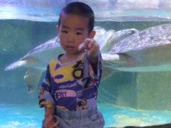 -多彩贵州城极地海洋世界