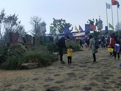 -上海长兴岛郊野公园