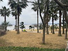 -普陀山风景名胜区-千步大沙