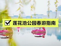-莲花池公园