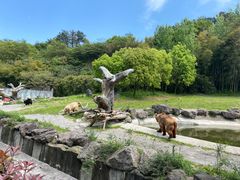 -宁波野生动物园