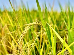 -中国天府农业博览园