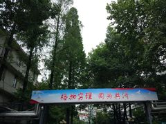 -华中科技大学同济医学院附属同济医院(汉口院区)