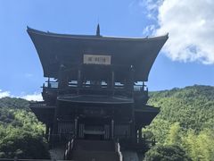 -大唐贡茶院