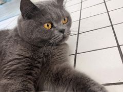 -ID.PHOTO照相馆(嘉里企业中心店)