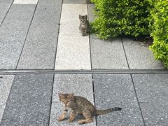 -星巴克(深圳前海企业公馆店)