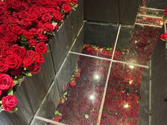 -成都梵高星空艺术馆(春熙路旗舰店)
