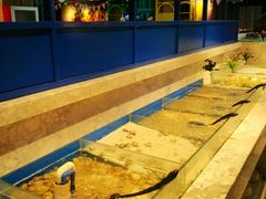 -火锅岛潮牌自助餐厅(天津天佑城店)