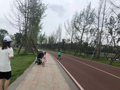 -白鹭湾湿地公园