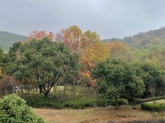 -苏州环秀晓筑养生度假村