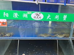 -阳澄湖大闸蟹·琼灵阁牌品牌连锁(吴中总店)