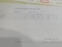 -暖阳宠物医院·犬猫康复中心·骨科