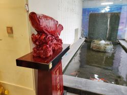 -石家庄苏亚美联臣医疗美容医院