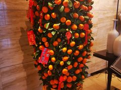 -龙之梦万丽酒店青餐厅