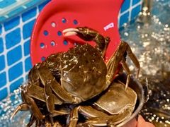 -焰江山海鲜牛排烤肉自助(锦华万达二星店)