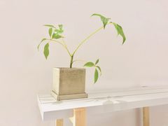 -CAFE'IN精品咖啡体验空间(小寨店)