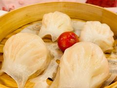 金牌虾饺皇-点都德(盘福楼店)