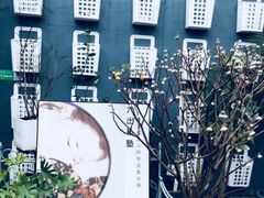 -六出私塾LiuChu•成人美术书法系统课程专业画室(熊婆婆的花园店)