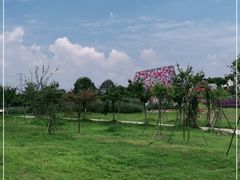 -紫颐香薰山谷景区