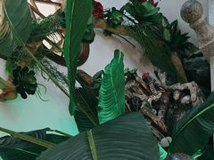 -徽镇小厨·经典徽菜(马连道店)