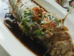 -渔娘渔家丹东海鲜(东直门店)